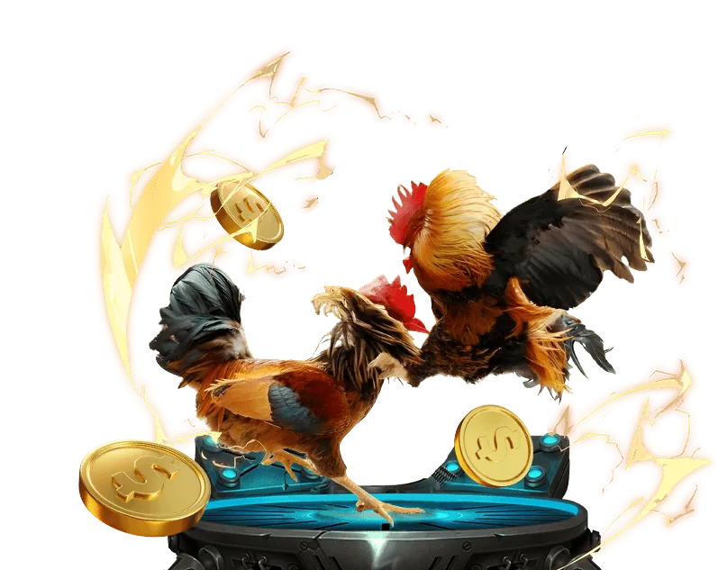 Quy tắc cá cược quần vợt Bay789 Vin